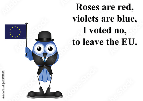 Voted to stay in the EU poem