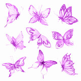 Watercolor butterflies set. Purple butterflies on white background. Beautiful fragile creatures for decoration.