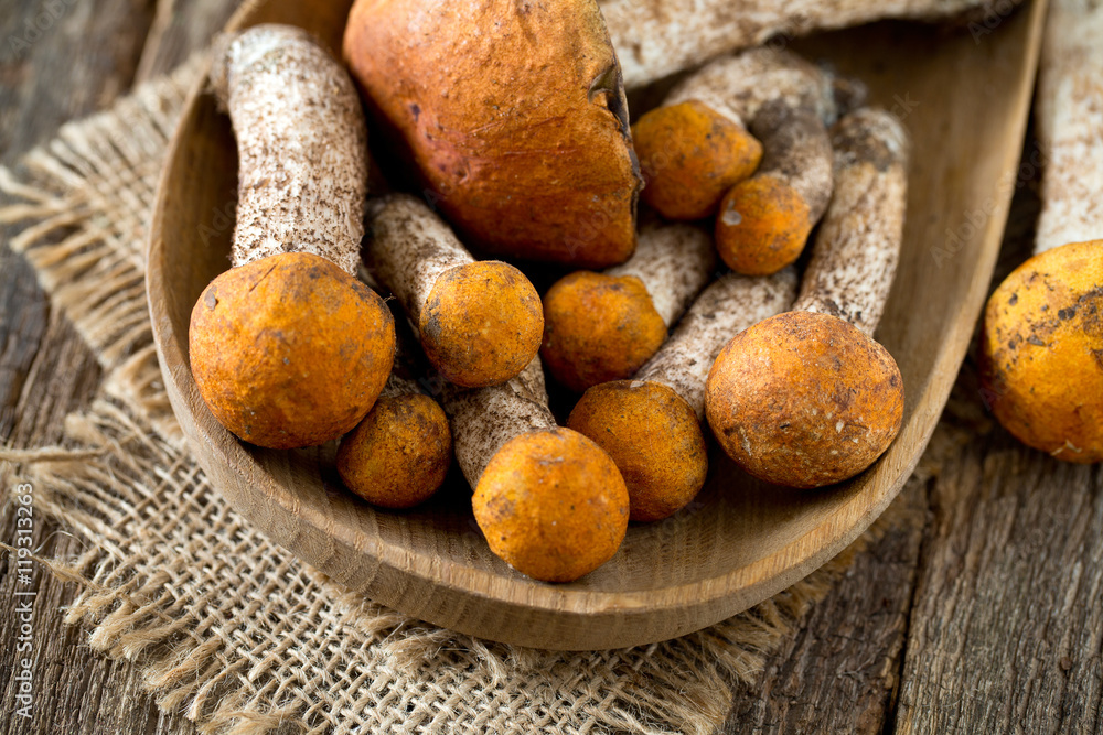 orange-cap boletus on wooden surface orange-cap boletus on wooden surface