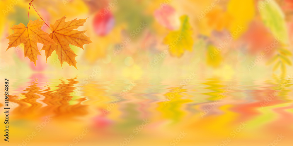Autumn background 005