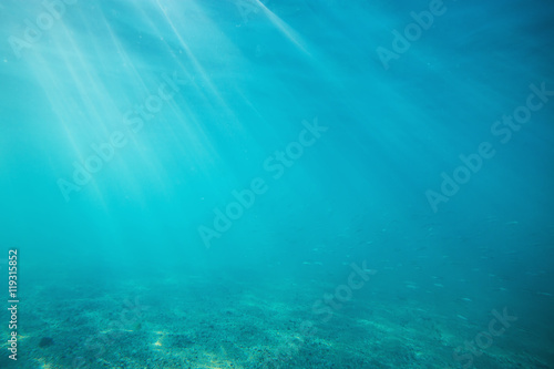Underwater shot with sunrays and fish in deep tropical sea
