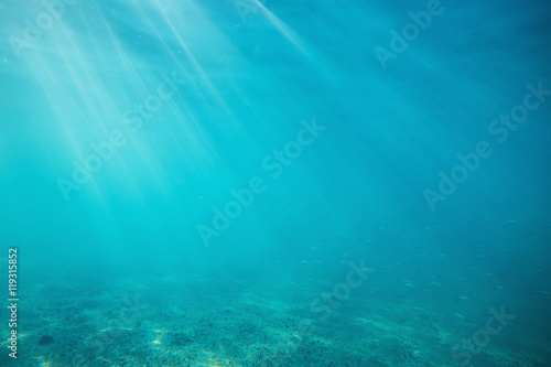 Underwater shot with sunrays and fish in deep tropical sea © ValentinValkov