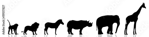 Vector illustration wild animals.