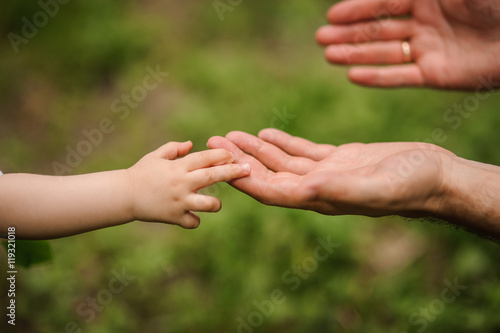 father's hand lead his child son in summer forest nature outdoor, © fesenko