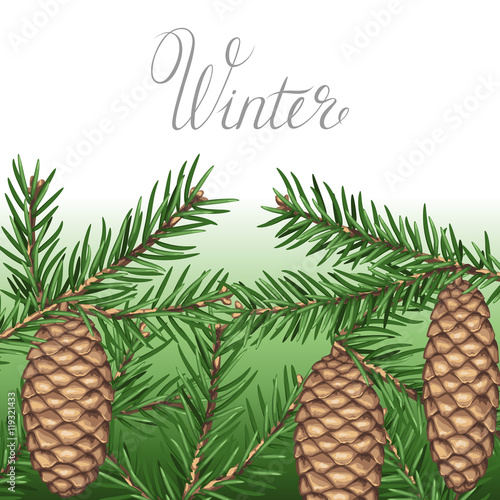 Background with fir branches and cones. Detailed vintage illustration