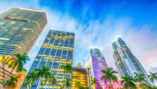 Downtown Miami at sunset, Florida © jovannig