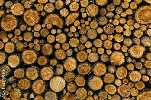 Background of dry chopped firewood logs stacked up on top