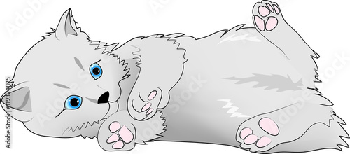 Katze 