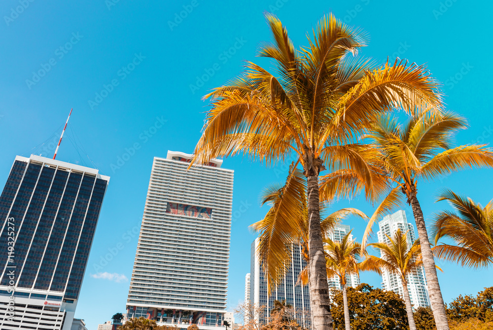 MIAMI - FEBRUARY 25, 2016: Beautiful city skyline. Miami hit rec
