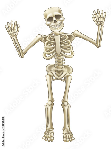 Cartoon Skeleton Character