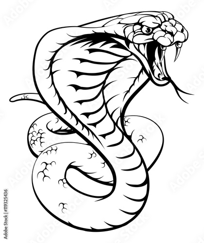 Cobra Snake