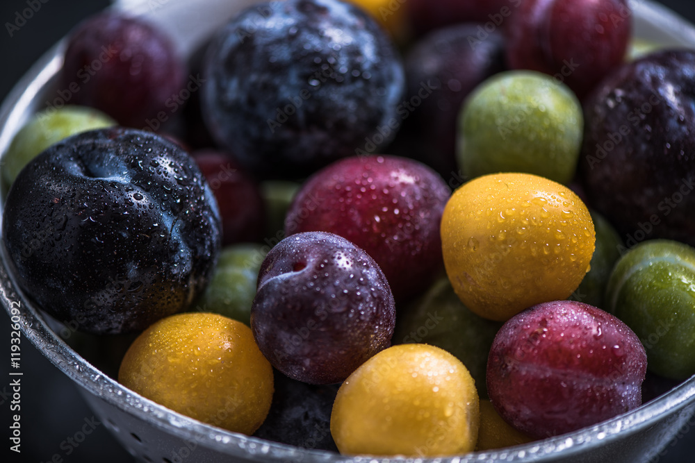 close view on wet ripe plums in colander close view on wet ripe plums in colander