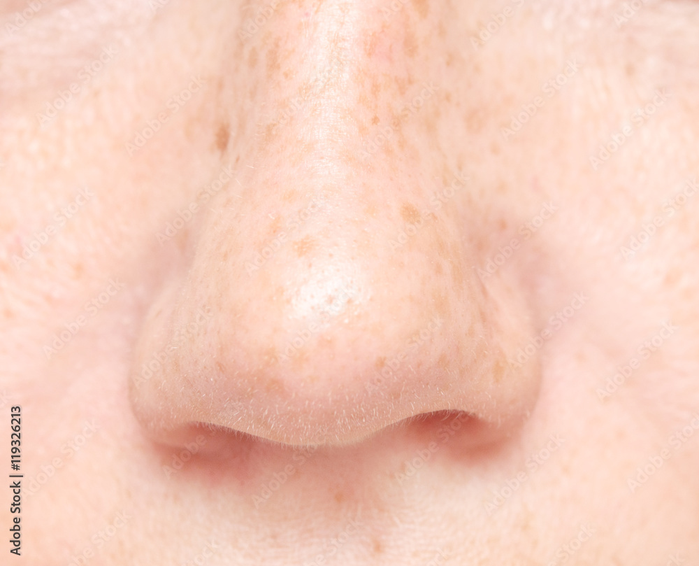 macro shot of nose macro shot of nose