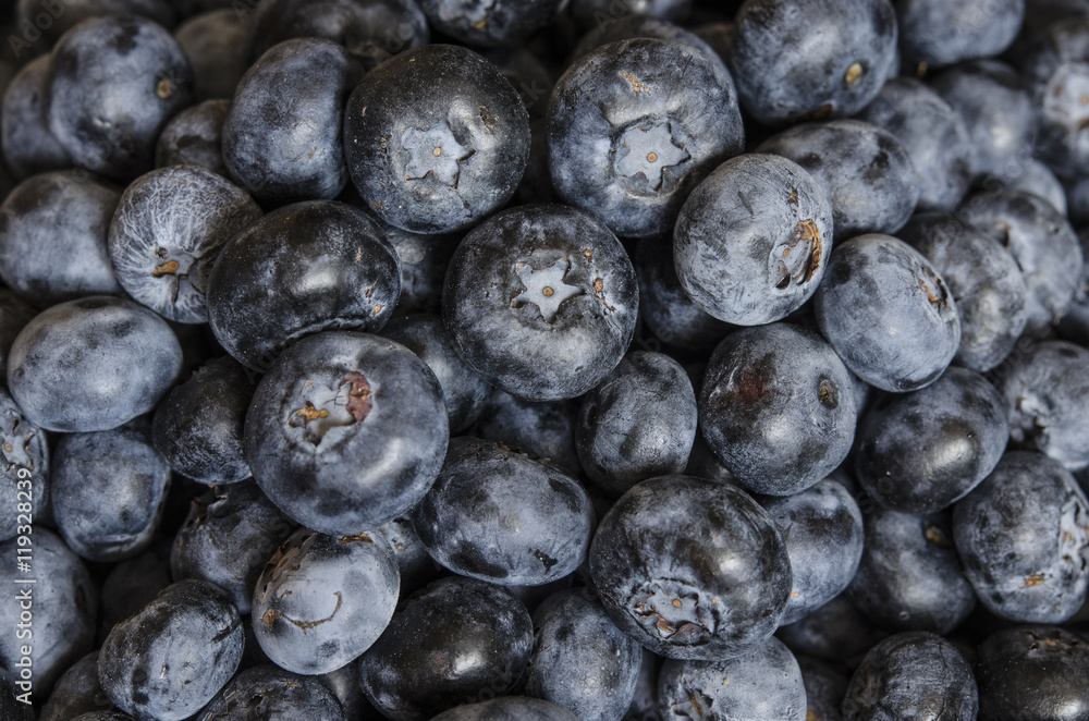 blueberry blueberry