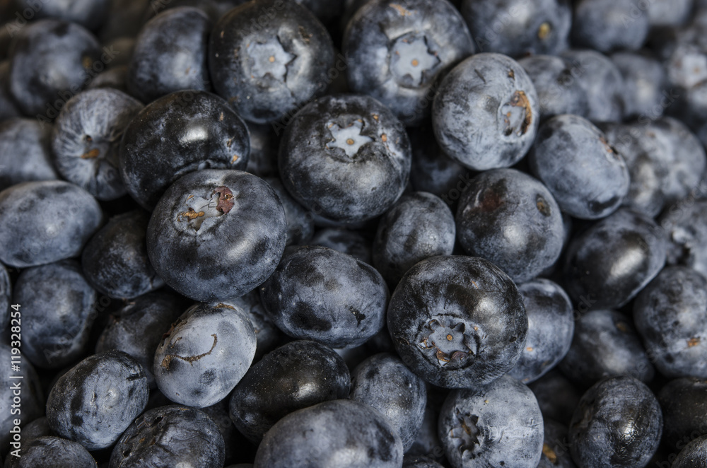 blueberry blueberry