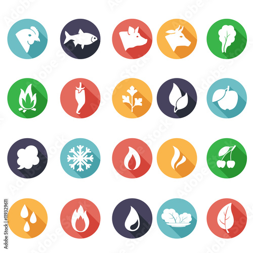 Animals, leaves, fire, frost, steam, water icons. Flat style