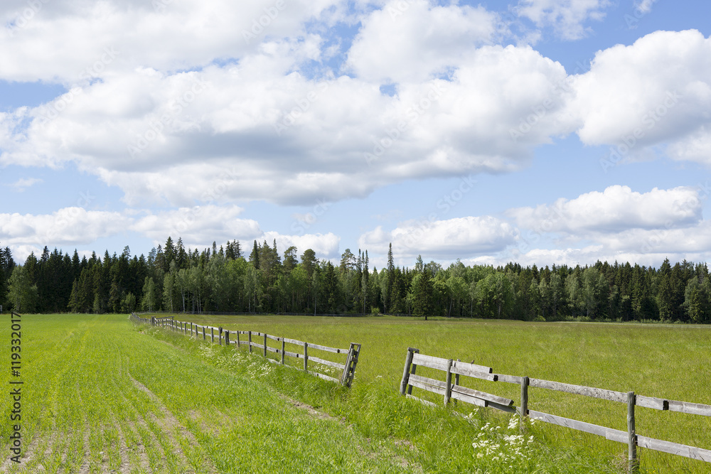 Wooden fence on a green field with blue sky and clouds. Image taken on a sunny day in Finland.