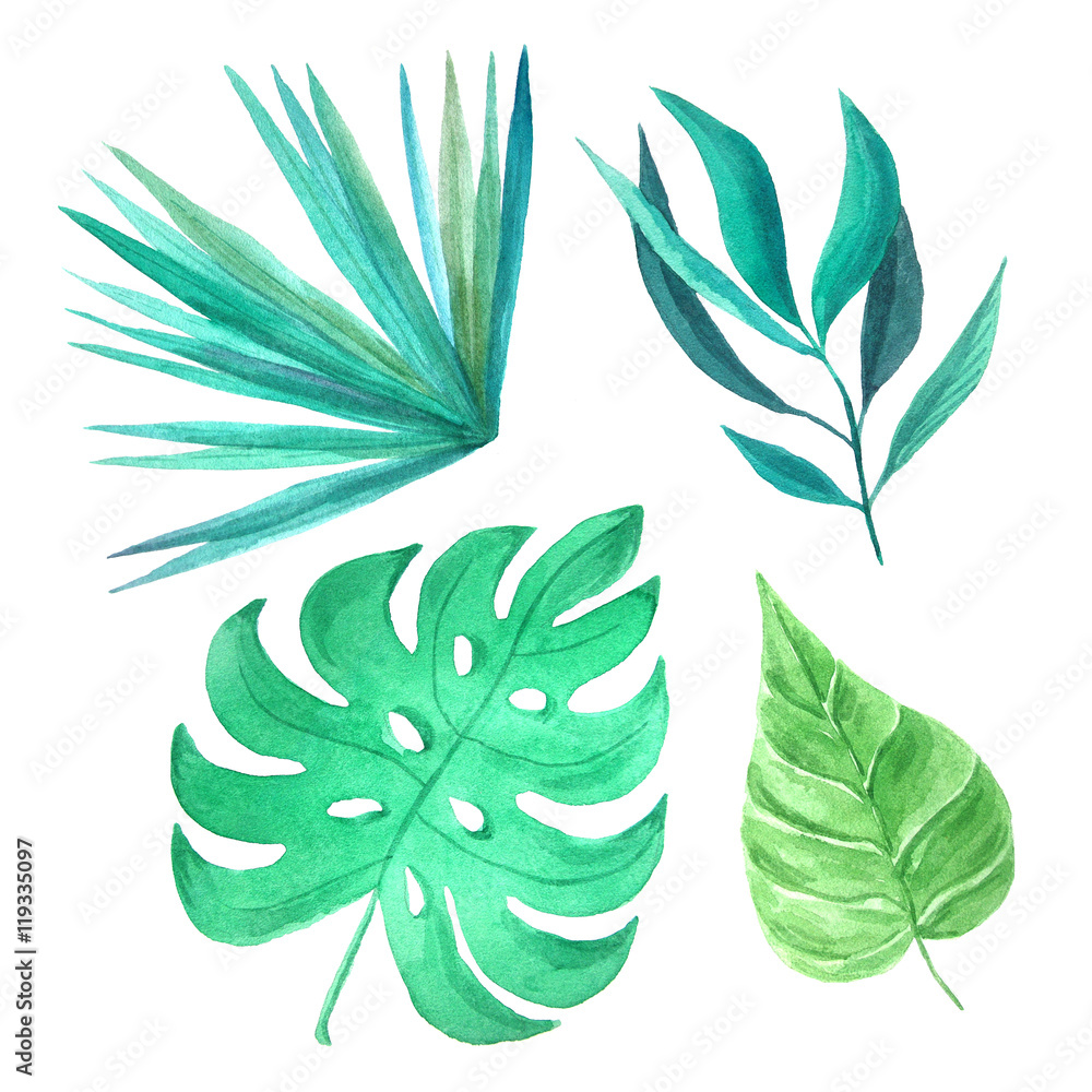 Watercolor green tropical leaves set