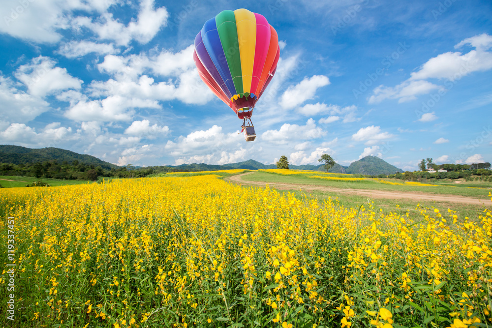 Obraz premium Hot air balloon over yellow flower fields against blue sky