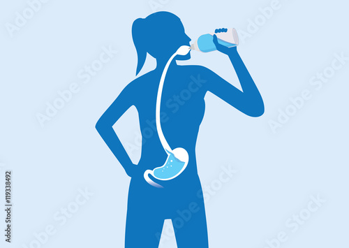 Silhouette of body woman drinking water from bottle flow into stomach. Illustration about healthy lifestyle.