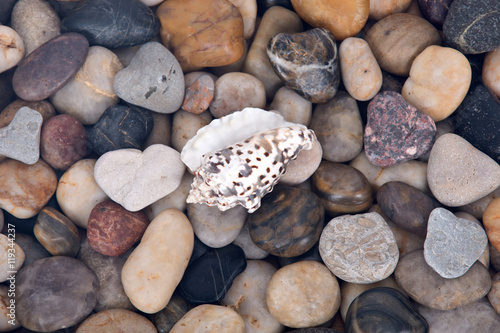 Sea shell and pebble stone colorful background