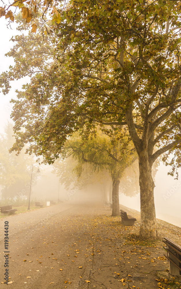 Naklejka premium Promenade, foggy day