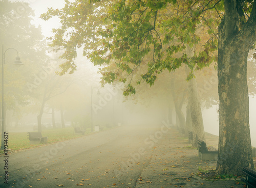 Promenade, foggy day photo
