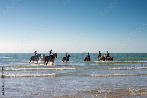 bain de mer pour les chevaux