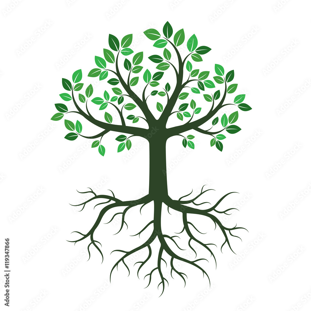 Green Trees. Vector Illustration. Green Trees. Vector Illustration.