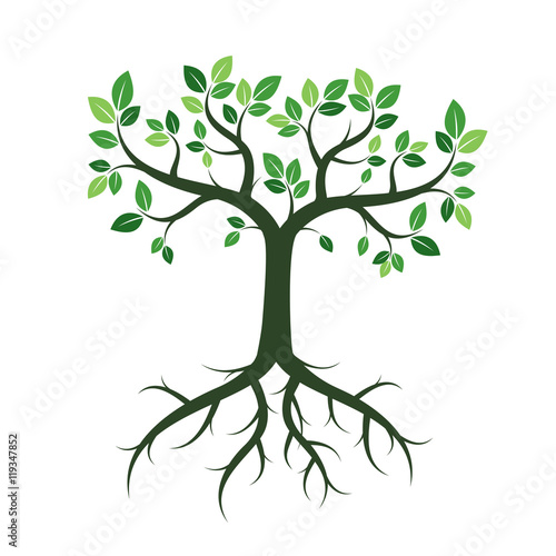 Green Trees. Vector Illustration.