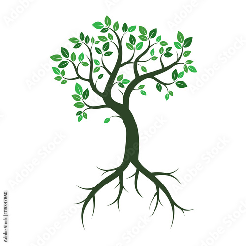 Green Trees. Vector Illustration.