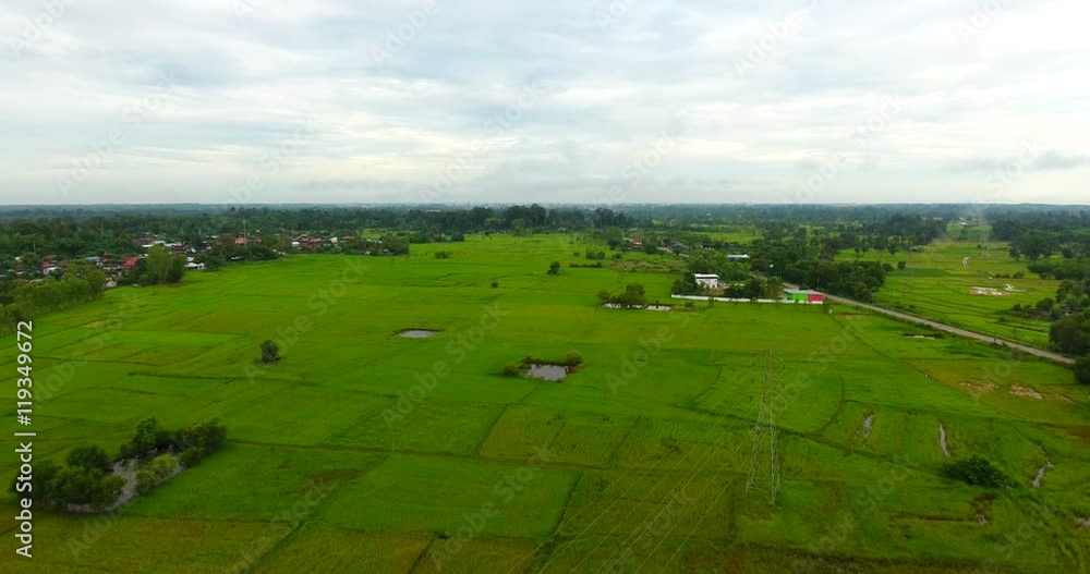 Aerial fly over of rice fields in Thailand Aerial fly over of rice fields in Thailand
