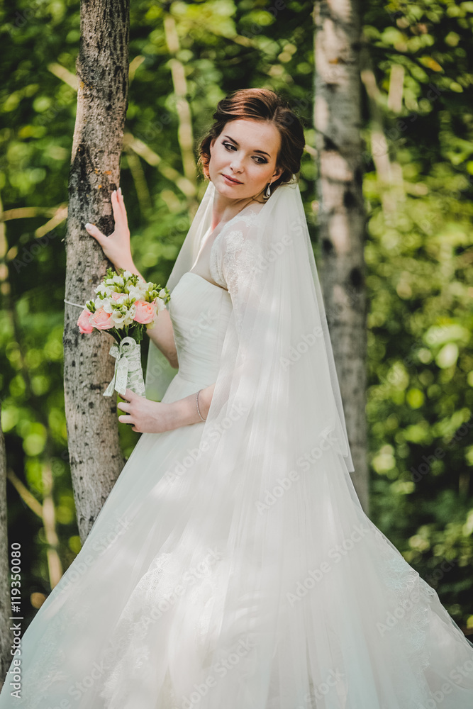 Wedding. Young beautiful bride with hairstyle and makeup posing in white dress and veil. Soft sunset light summer portrait. Girl looking in camera Wedding. Young beautiful bride with hairstyle and makeup posing in white dress and veil. Soft sunset light summer portrait. Girl looking in camera
