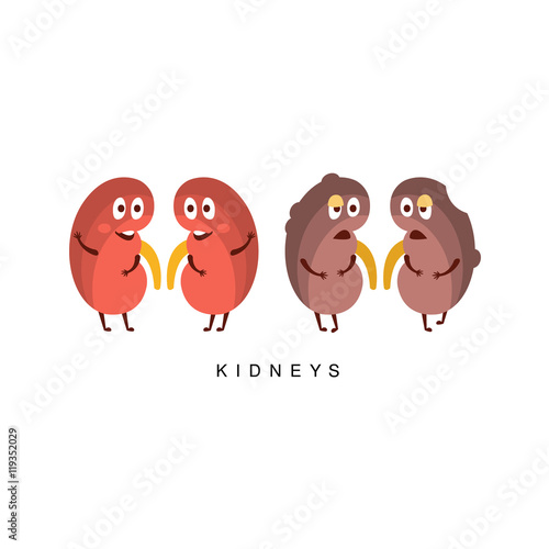 Healthy vs Unhealthy Kidneys Infographic Illustration