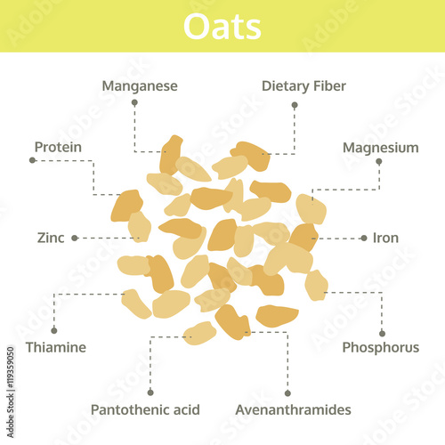 oats nutrient of facts and health benefits, info graphic