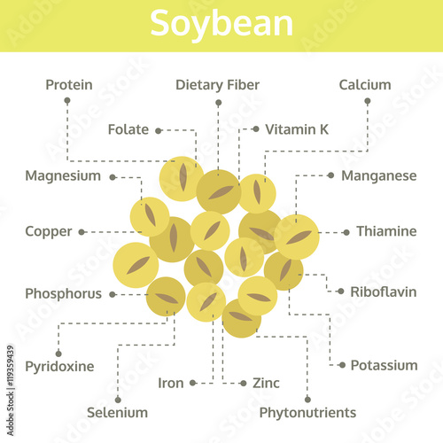 soybean nutrient of facts and health benefits, info graphic bean