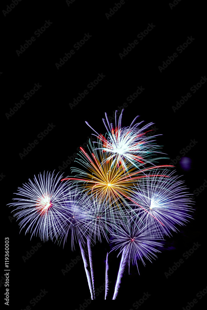 bright colors fireworks -  beautiful colorful firework isolated