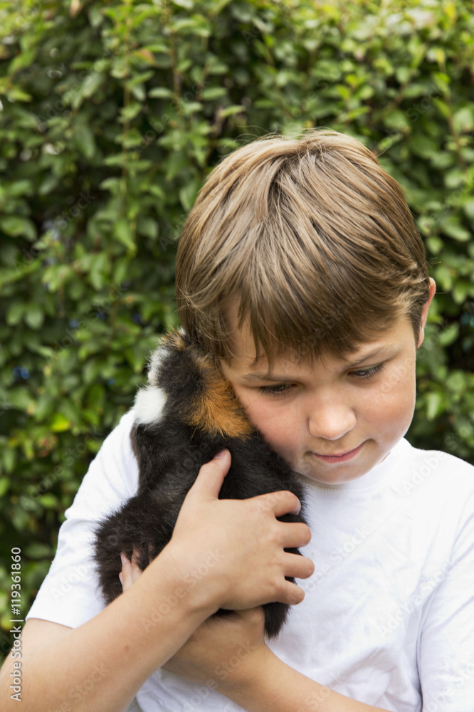 Boy with guinea-pig, Sollentuna, Sweden Boy with guinea-pig, Sollentuna, Sweden