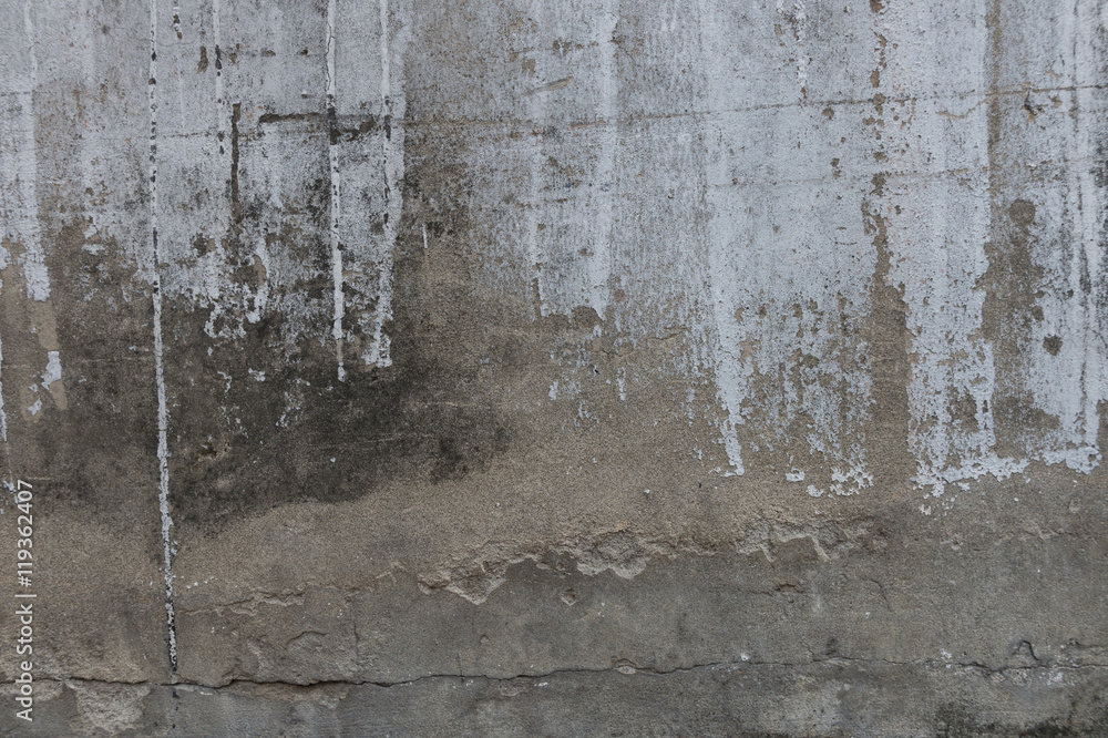 Obraz premium Moldy cement wall texture