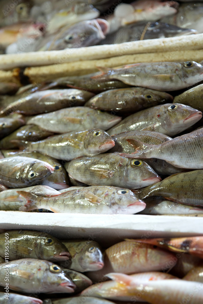 Fresh fishes in a market