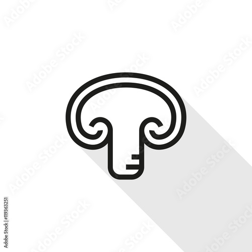 mushroom isolated on white background