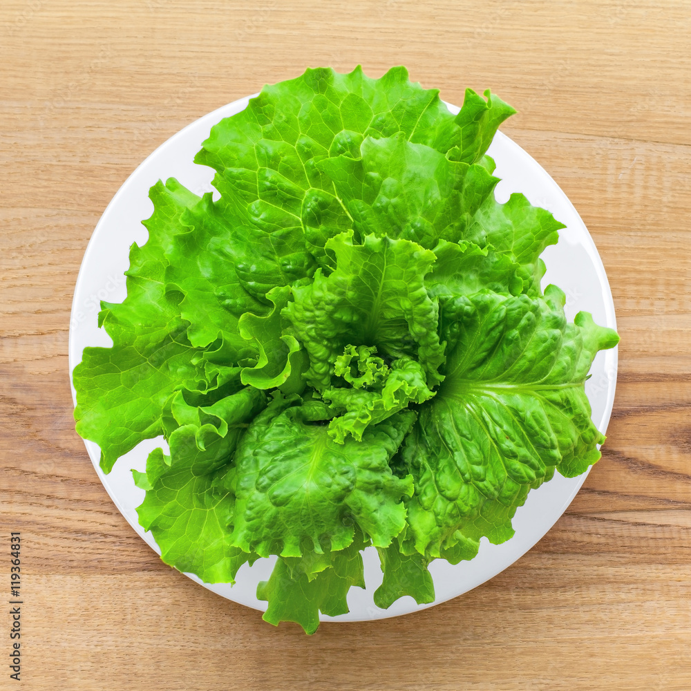 Fresh lettuce on a plate. Abstract concept of healthy vegetarian food. Top view. Fresh lettuce on a plate. Abstract concept of healthy vegetarian food. Top view.