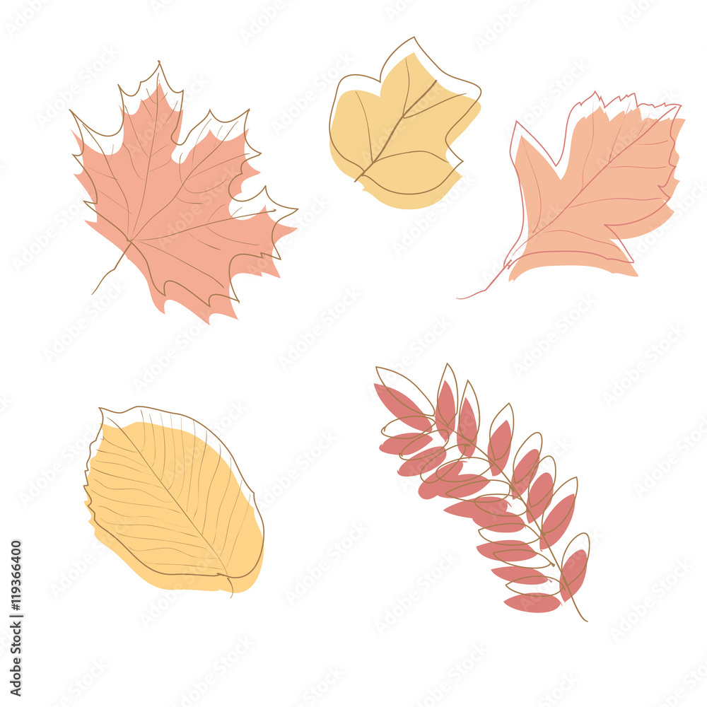 Fototapeta premium Autumn Leaves on white background , vector illustration