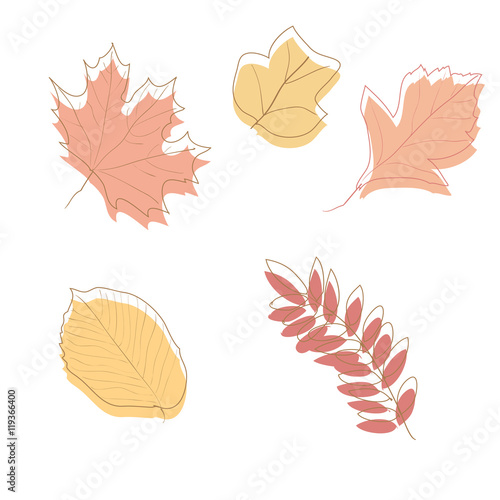Autumn Leaves on white background , vector illustration © glu_51