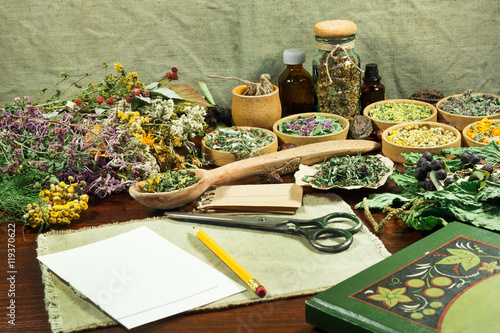 Set of healing herbs