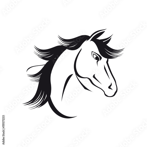 Cavallo