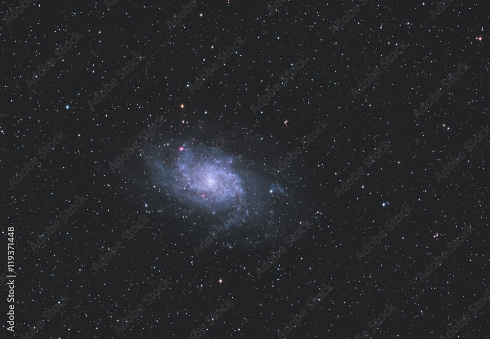Fototapeta premium Dreiecksgalaxie / Triangulum Galaxy