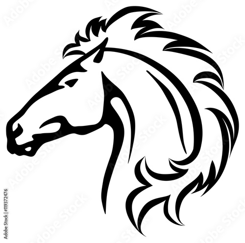 Wild horse's head