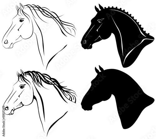 Vector illustration of horse head clip-art set.