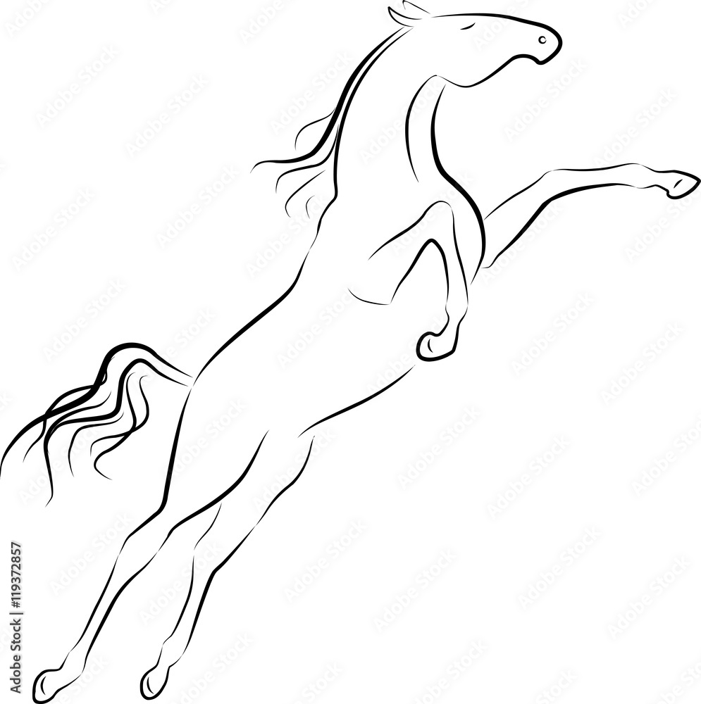 Fototapeta Vector illustration of jumping horse